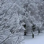 Haus Hubertus ホテル