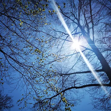 Hotel Haus Hubertus Bad Peterstal-Griesbach