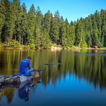 Haus Hubertus 3* Bad Peterstal-Griesbach