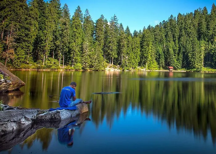 Haus Hubertus 3* Bad Peterstal-Griesbach